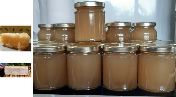 Honey jars beeswax and part of behive